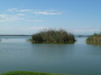 picture-0042